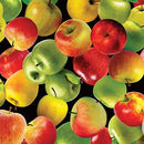 BTX Cider House Apple Picking - 14616-99 Multi - Cotton Fabric