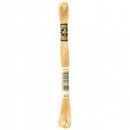 CHK DMC 6 Strand Floss - 117UA-422 - Notions
