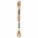 CHK DMC 6 Strand Floss - 117UA-841 - Notions