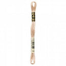 CHK DMC 6 Strand Floss - 117UA-842 - Notions