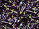 NCI Food Festival - Eggplant 634-PURPLE  - Cotton Fabric