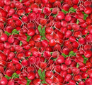 NCI Food Festival Radishes - 633-RED - Cotton Fabric