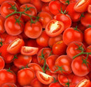 NCI Food Festival Tomatoes - 436-Red - Cotton Fabric