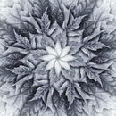 HFF Dream Big Leaf - R4617-483 Fog - Cotton Fabric