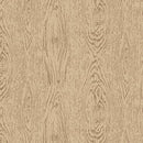 HFF Twenty-Four-Seven-Grain - V5183-205 Latte - Cotton Fabric