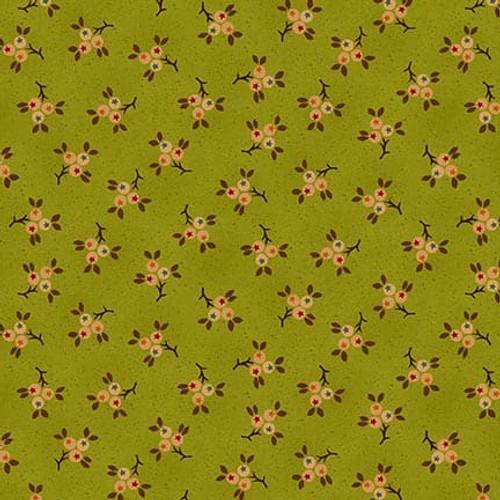 HG Autumn Farmhouse - 975-66 Kwi - Cotton Fabric