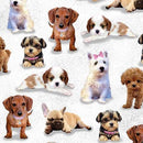 HG Diva Pups - 1743-01 White - Cotton Fabric