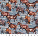 NCT Hidden Valley - DP26978-44 Blue Multi - Cotton Fabric