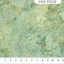 NCT Stonehenge Gradations II - 26756-780 Pine Ridge Light - Cotton Fabric