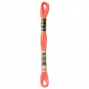 NTN DMC 6 Strand Floss 3341