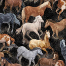 OASIS Round Up Horses - 59-7922 - Cotton Fabric