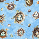 QT Birdsong Bird Nests and Eggs - 30280-B Blue - Cotton Fabric