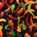 QT Grab Bag Season 3 Chili Peppers - 31459-J Black - Cotton Fabric