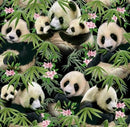 STUDIO E Panda Bears - 1230-BLACK - Cotton Fabric