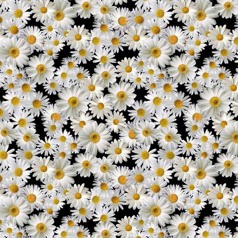 TT Advice From A Sunflower Blooming Packed Daisies - CD2926-BLACK - Cotton Fabric