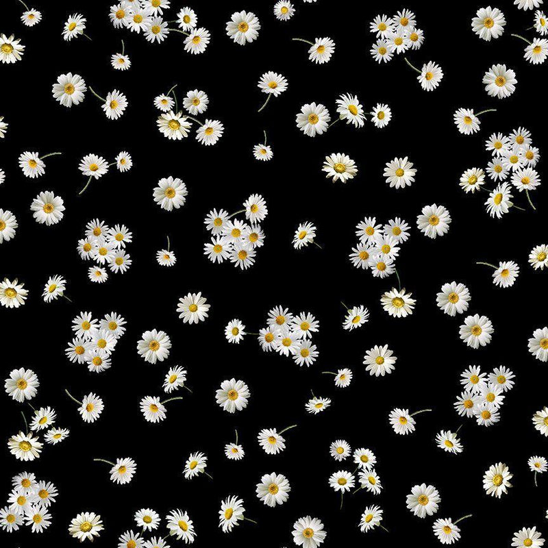 TT Advice From A Sunflower Tossed Small Daisies - CD2927-BLACK - Cotton Fabric