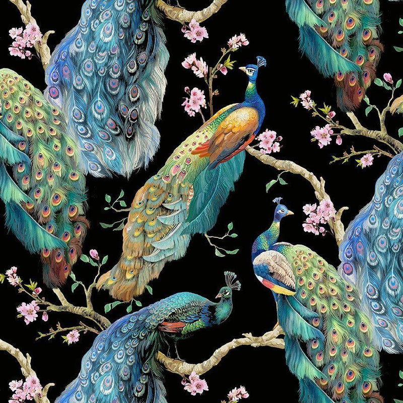TT Flourish Elegant Peacock on Branches - CD2580-BLACK - Cotton Fabric