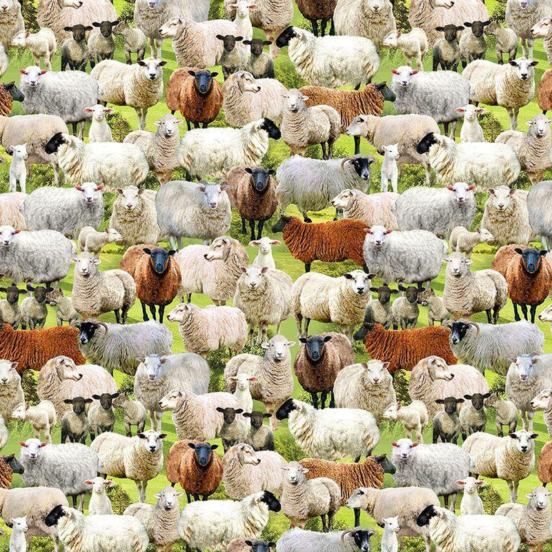 TT Rolling Hills Packed Sheep - CD3077-SAGE  - Cotton Fabric