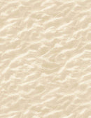 TT Water's Edge Sand Dunes - CD8395-NATURAL - Cotton Fabric