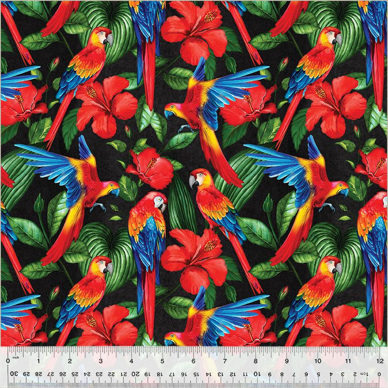 WHM Tropical Paradise Macaws - 53927-1 Black - Cotton Fabric