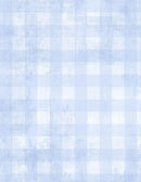 WP Dry Brush Checks - 89289-400 - Cotton Fabric