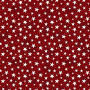 WP Stars Of Valor - 3028-30089-331 - Cotton Fabric