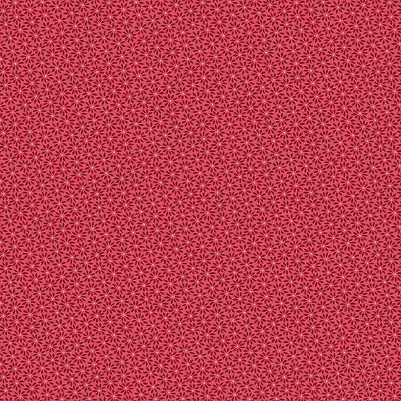 MB Paula's Companions II - R220310-ROSE - Cotton Fabric