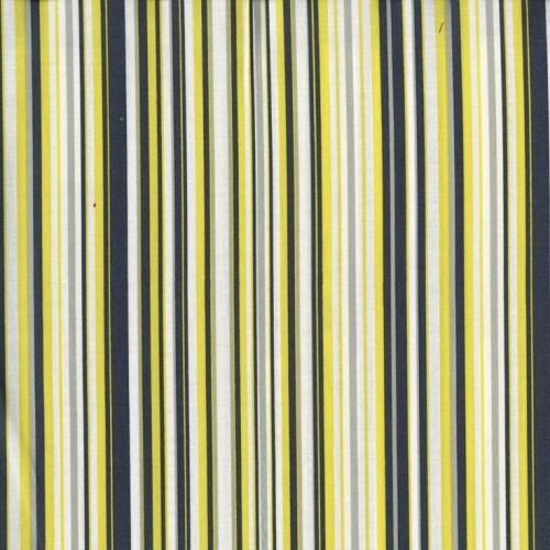 MM Play Stripe - CX3137-CTRN Green - Cotton Fabric