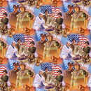 NCI David Textiles Heroes - 3736 - Cotton Fabric