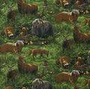 RK Nature Studies 2 SRK-13624-270 - Cotton Fabric