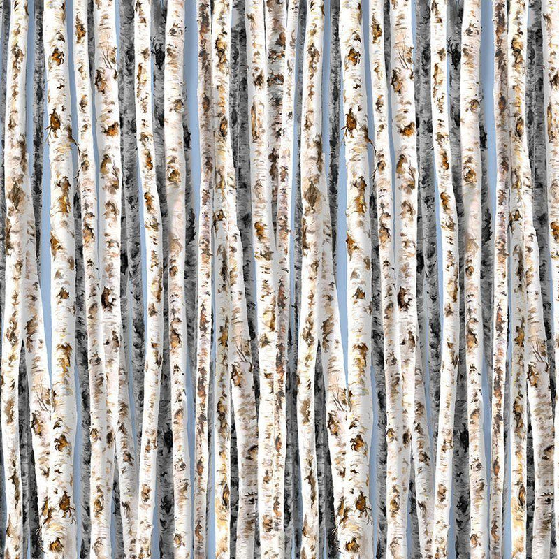 TT Birch Trees on Blue Sky CD1914-SKY - Cotton Fabric