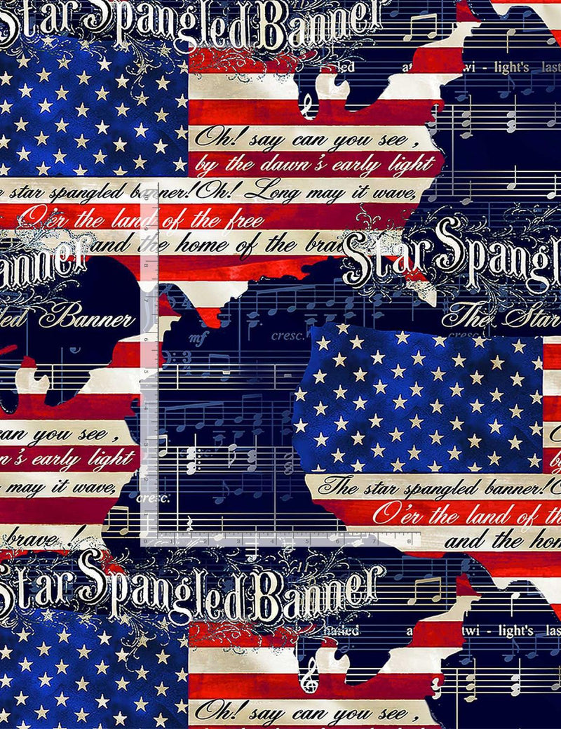 TT Star Spangled Banner USA-C8318-MULTI - Cotton Fabric