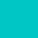 WHM Winterfleece Solid - 6800-TURQUO Turquoise- Fleece Fabric