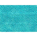 AND Dimples - 1867-T1 Bahama - Cotton Fabric