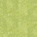 AND Dimples - P0260-1867-LG - Andover Quilt Fabric
