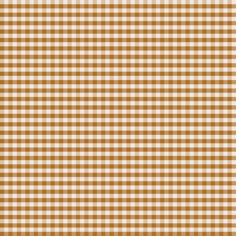 BF Single Brushed Poly Gingham - FT202508301 Rust - Dress & Apparel Fabric