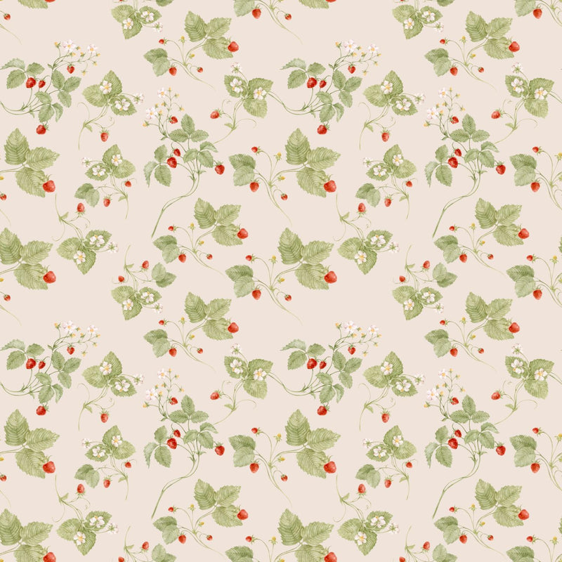 BF Single Brushed Poly Strawberries - FT202508300-1 Peach - Dress & Apparel Fabric