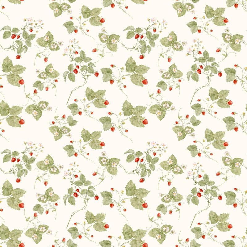 BF Single Brushed Poly Strawberries - FT202508518 Cream - Dress & Apparel Fabric