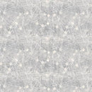 BLK Purely Neutral - 3521-90 Grey - Cotton Fabric