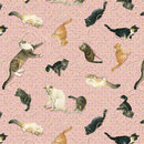 BLK Sophisti-Cats - Cats Playing with Yarn 2979-22 Pink - Cotton Fabric