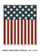 BTX American Valor Panel - 16871-57 Navy/Red - Cotton Fabric