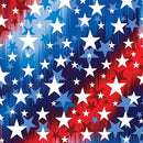 BTX America's Highway All Stars - 14718-86 Red/Blue - Cotton Fabric