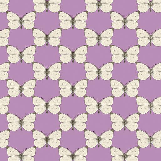 BTX Bee Haven Cabbage Butterfly - 16414-64 Medium Petal - Cotton Fabric