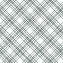 BTX Coastal Escape Maritime Plaid - 15027-44 Sage - Cotton Fabric