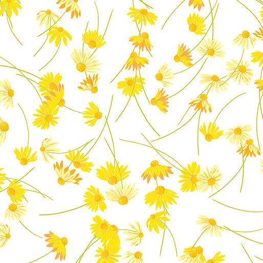 BTX Delightful Daisies Daisy Dreams - 14836-09 White - Cotton Fabric