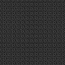 BTX Delightful Daisies Flower Seeds - 14841-12 Black - Cotton Fabric