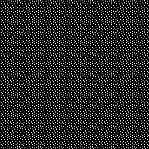 BTX Delightful Daisies Flower Seeds - 14841-12 Black - Cotton Fabric