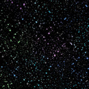 BTX Dragonfly Wonder Spatter Multi - 16406P-12 Black/Multi - Cotton Fabric