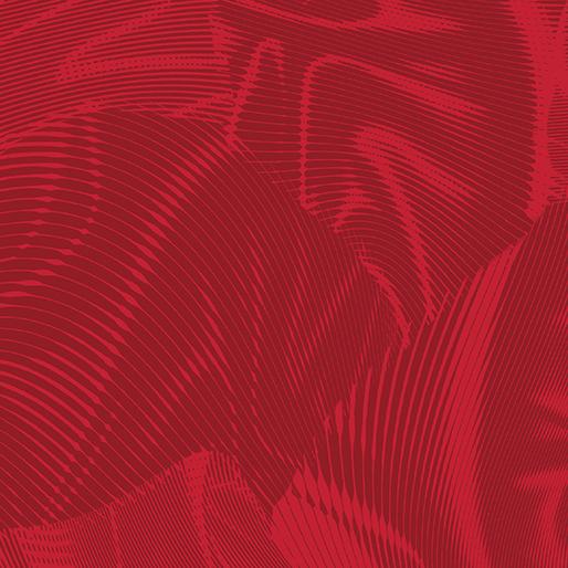 BTX Echo - 16261-10 Red - Cotton Fabric