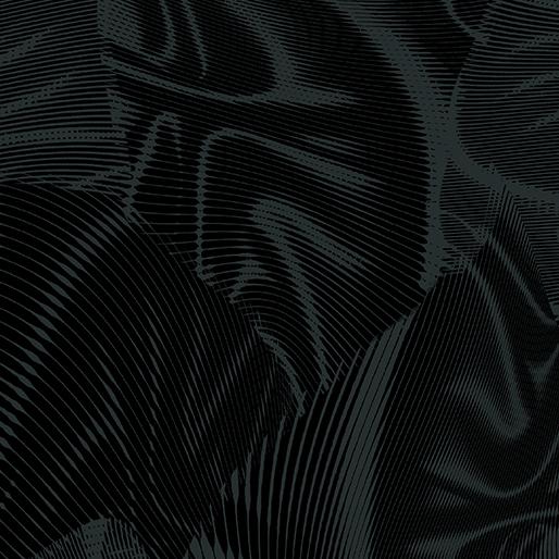 BTX Echo - 16261-12 Black - Cotton Fabric